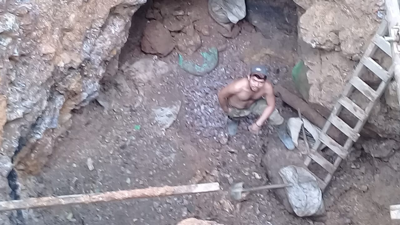 Minas1